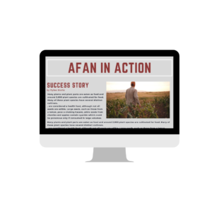 Read more about the article AFAN In Action, February 22
